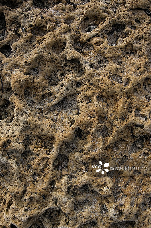 澳大利亚南阿尔丁加海滩低潮时被侵蚀的岩石平台图片素材