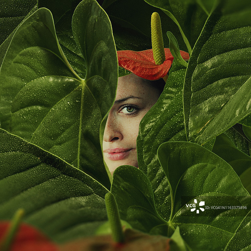 绿色瞄准器图片素材