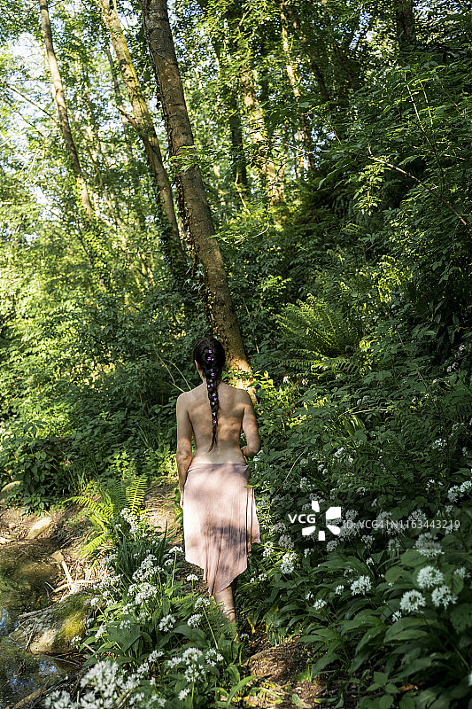 年轻女子在西班牙加罗查茂密森林中行走的背面图片素材