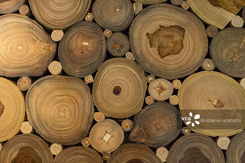 切割圆形柚木树桩图片素材