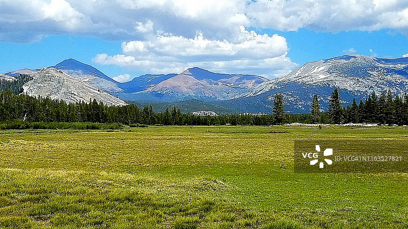 宁静的草地图片素材