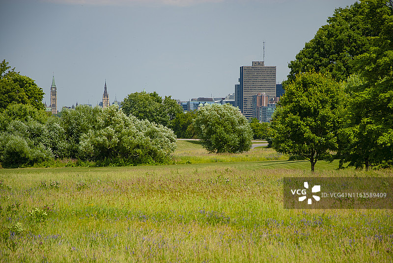远处的天际线，田野和树木，加拿大安大略省渥太华图片素材