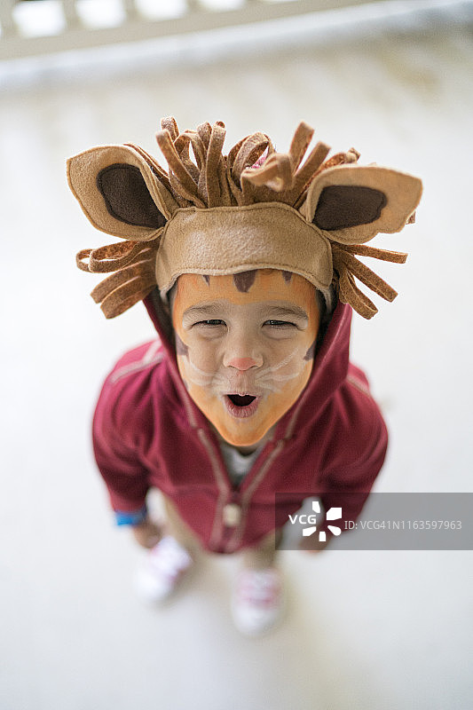 穿着老虎服装的3岁男孩咆哮图片素材