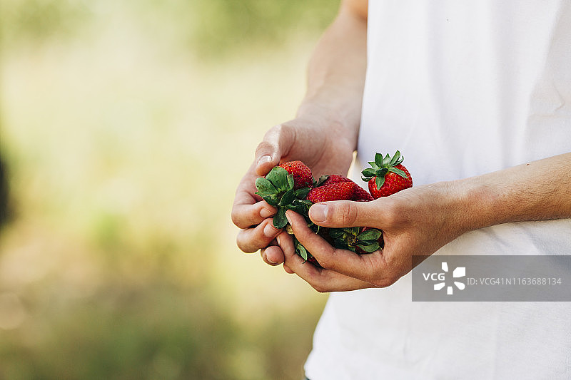 年轻人手捧草莓图片素材