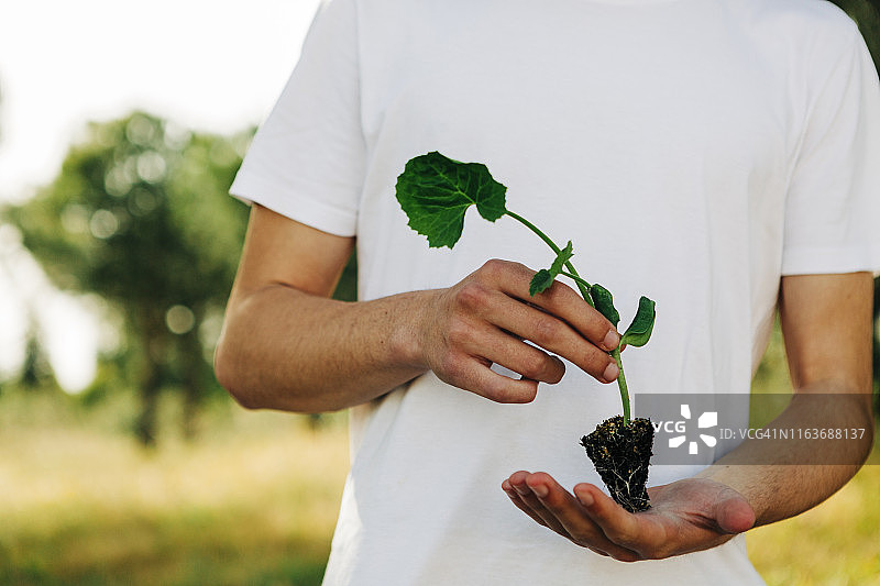 年轻男子拿着树苗图片素材