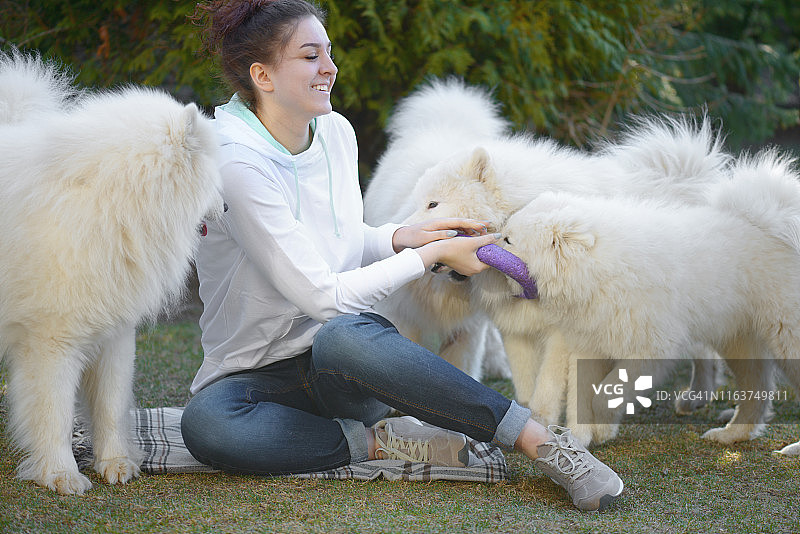 女人和萨摩耶犬图片素材
