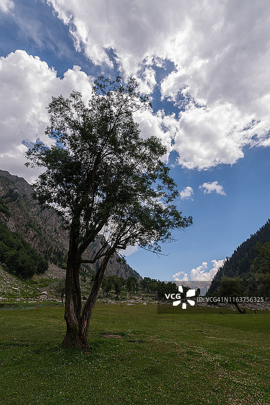 沙希巴格草甸图片素材