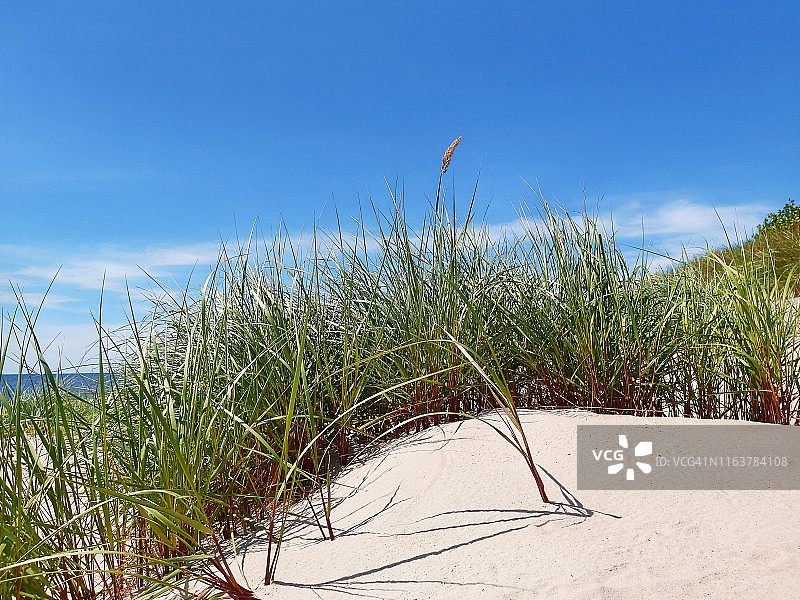 丹麦博恩霍尔姆岛南岸的波罗的海海滩图片素材