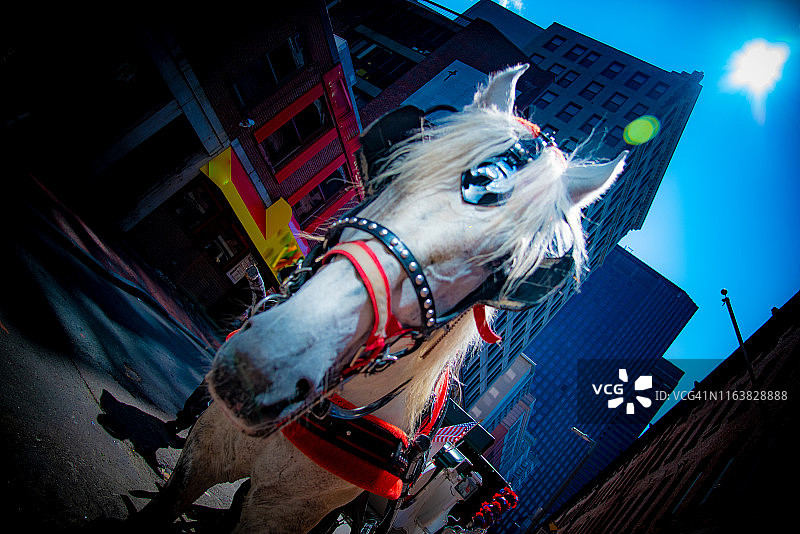 波士顿市区马车图片素材