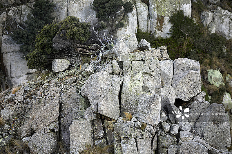 风化的裂纹岩层和植物图片素材
