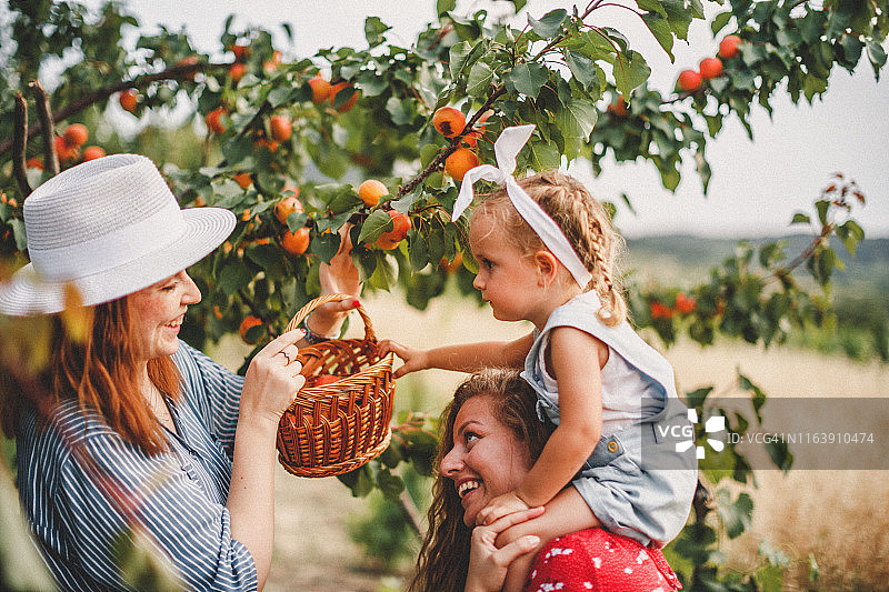 爱之植物图片素材