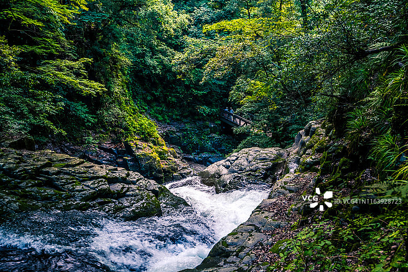 赤目四十八瀑深林中的山涧溪流图片素材