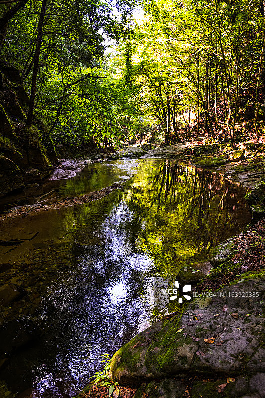 深林中绿色倒影的清澈溪流表面，赤目四十八瀑布图片素材