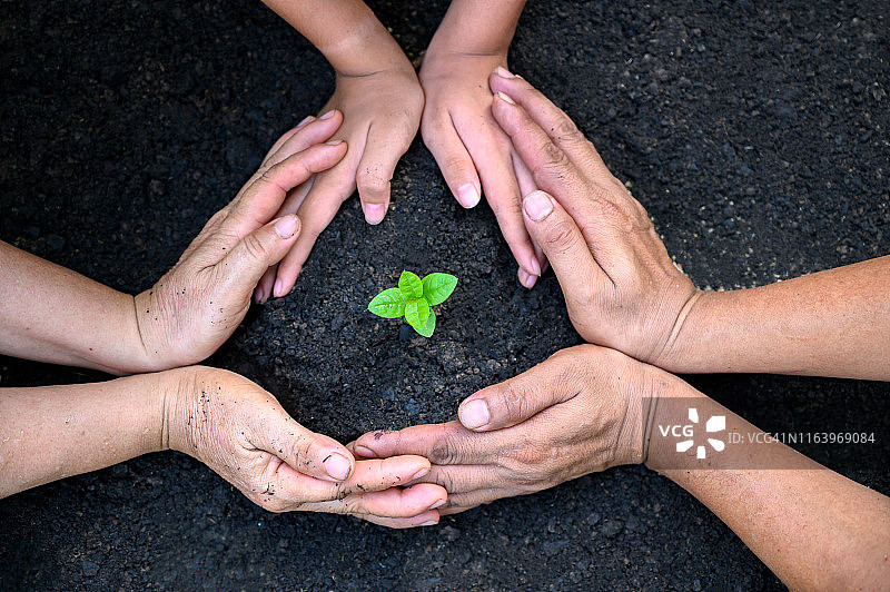 世界地球日：手中生长的小树苗，绿色背景，女性在自然田野草地森林中手捧树木，环保概念图片素材