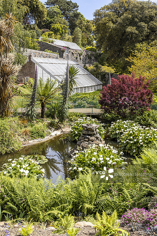 根西岛圣彼得港的坎迪花园，英国海峡群岛图片素材