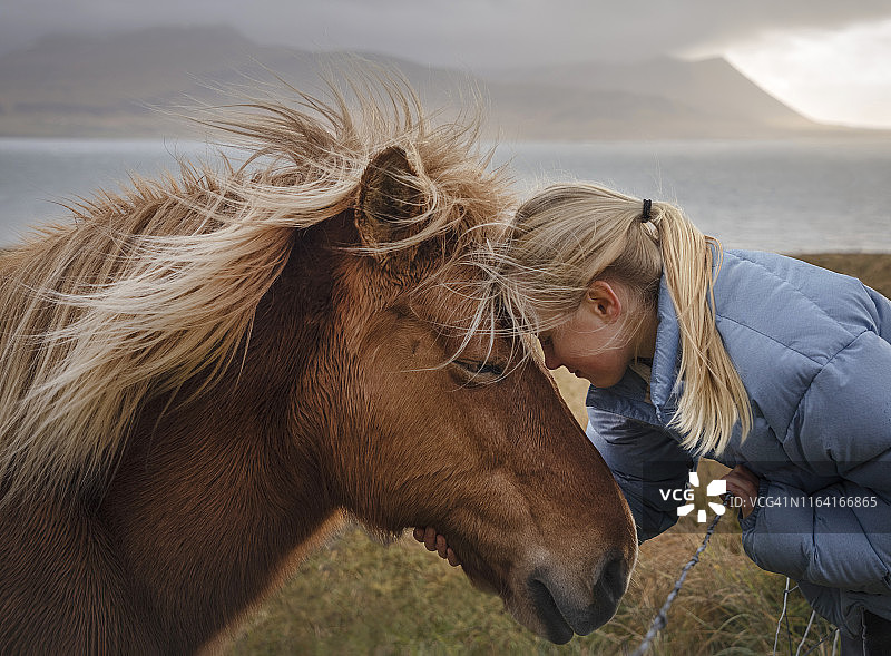 女孩拥抱冰岛马_冰岛图片素材