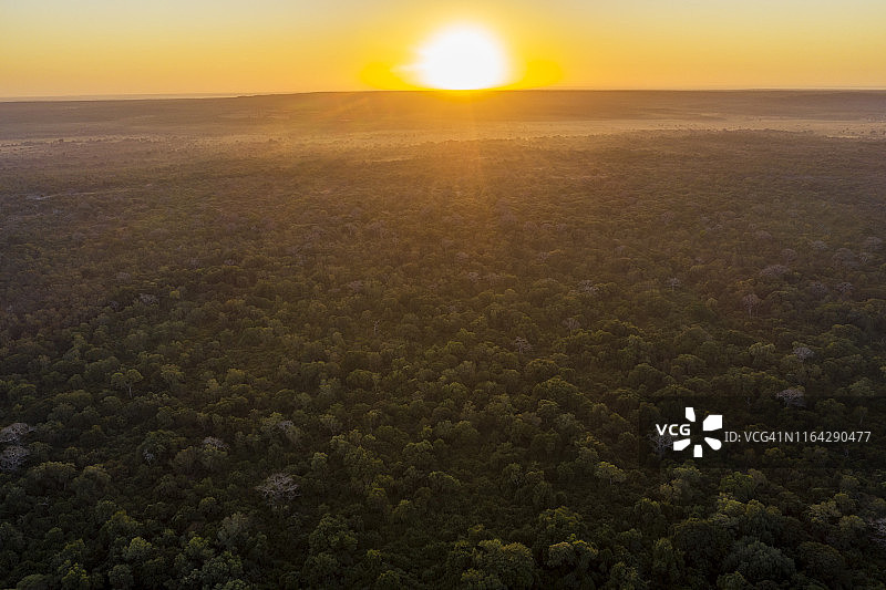 中部非洲日落时分的热带雨林的美丽航拍照片图片素材