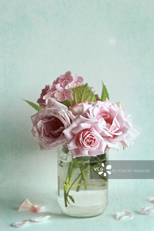 粉色的玫瑰图片素材