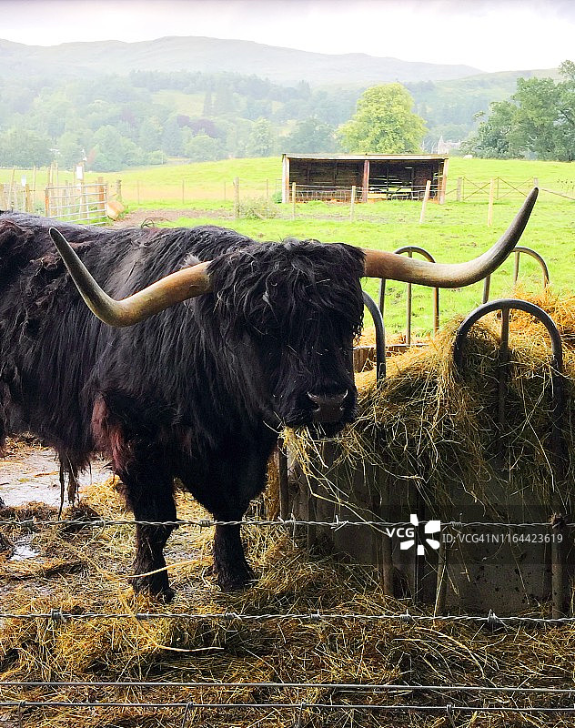 湖区风光图片素材