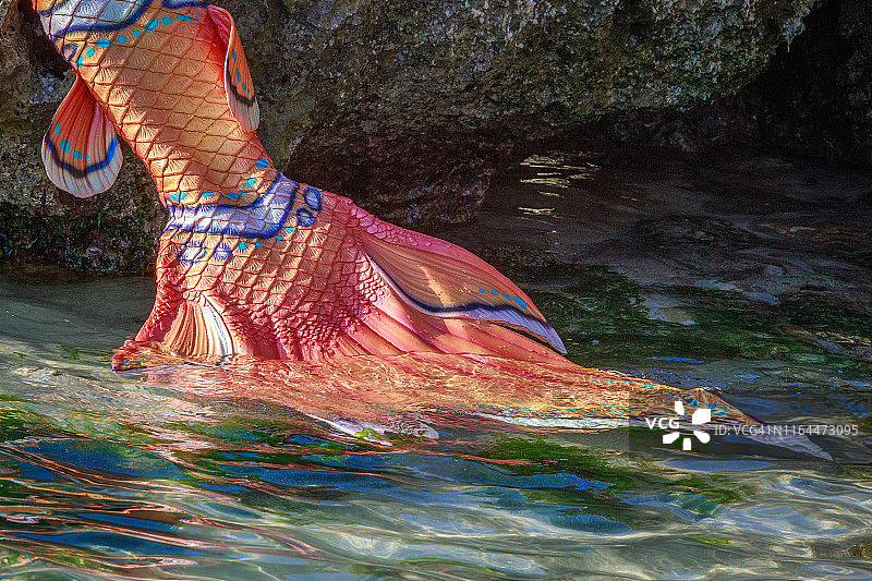 橙白美人鱼尾巴，水花飞溅图片素材