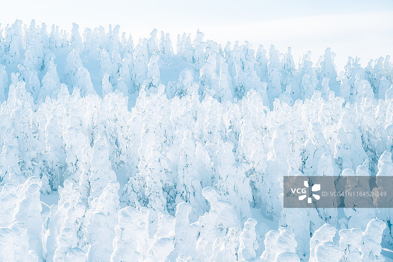 日本藏王山脉的雪怪图片素材