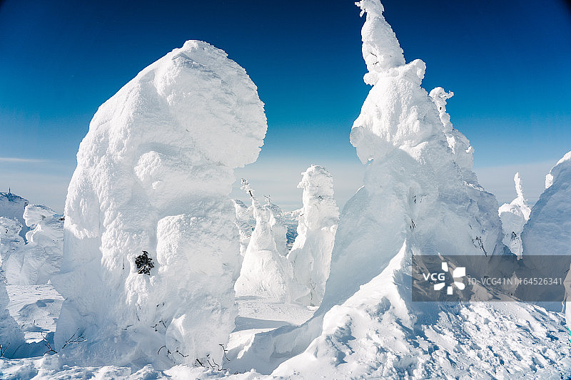 日本藏王滑雪场的雪怪图片素材