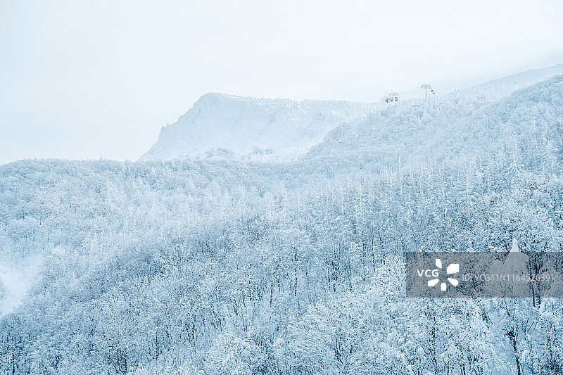日本藏王滑雪场的山脊、雾凇森林和索道图片素材