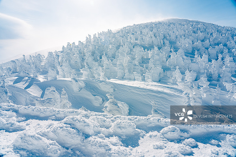 日本藏王山脉顶峰的雪怪图片素材