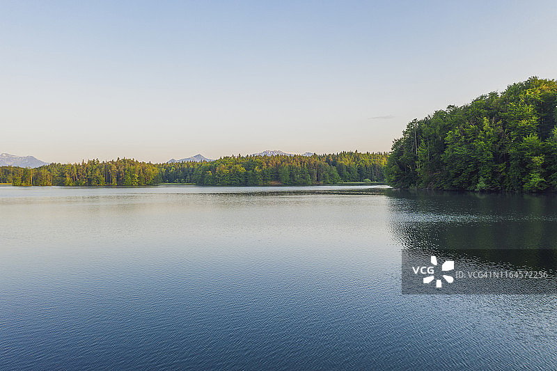 德国巴伐利亚基姆高：森林与山脉环绕的静谧湖泊图片素材
