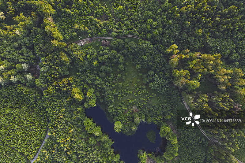 森林树木中的道路航拍图片素材