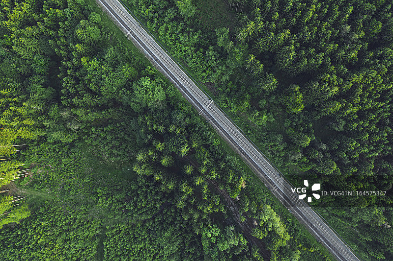 森林中树木间的铁轨航拍图片素材