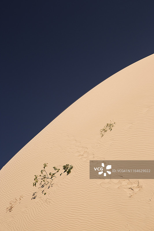 澳大利亚蒙戈国家公园维加斯井附近的沙丘图片素材