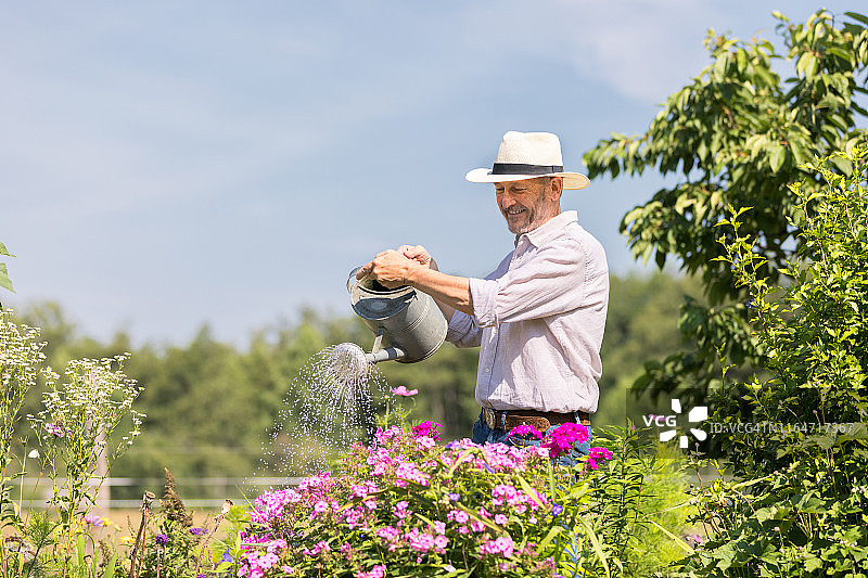 老年人在花园里园艺图片素材