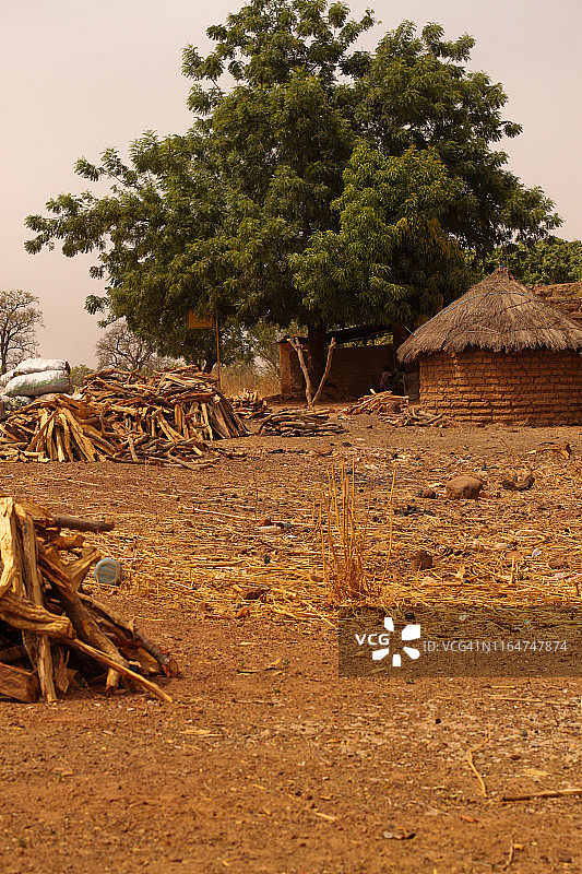 马里的农田图片素材