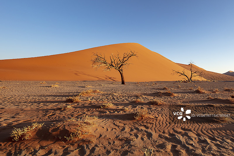 2018年纳米比亚苏索斯维利公园45号沙丘日落图片素材