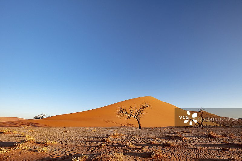 2018年纳米比亚苏索斯维利公园45号沙丘日落图片素材
