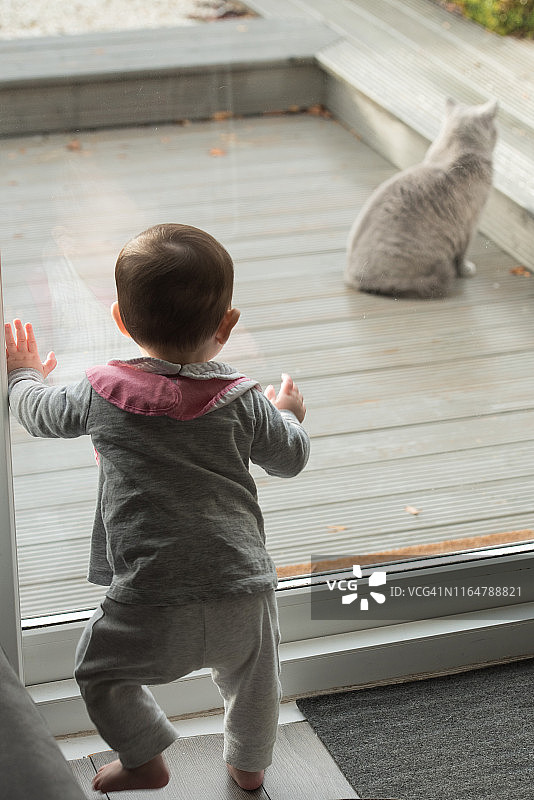 穿着睡衣的婴儿兴奋地看着花园里的英国短毛猫图片素材