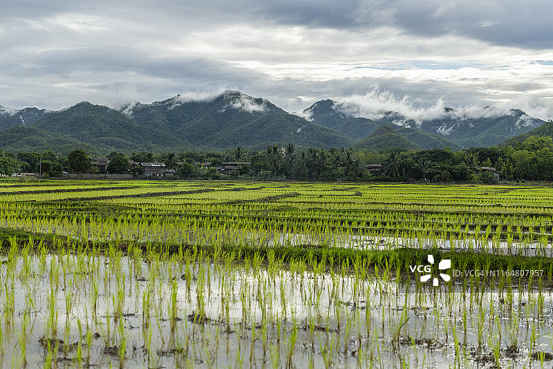 云雾缭绕的绿色田野和高山，美丽的天空。图片素材