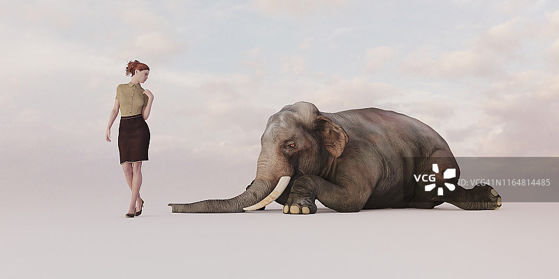 房间里的大象系列图片素材