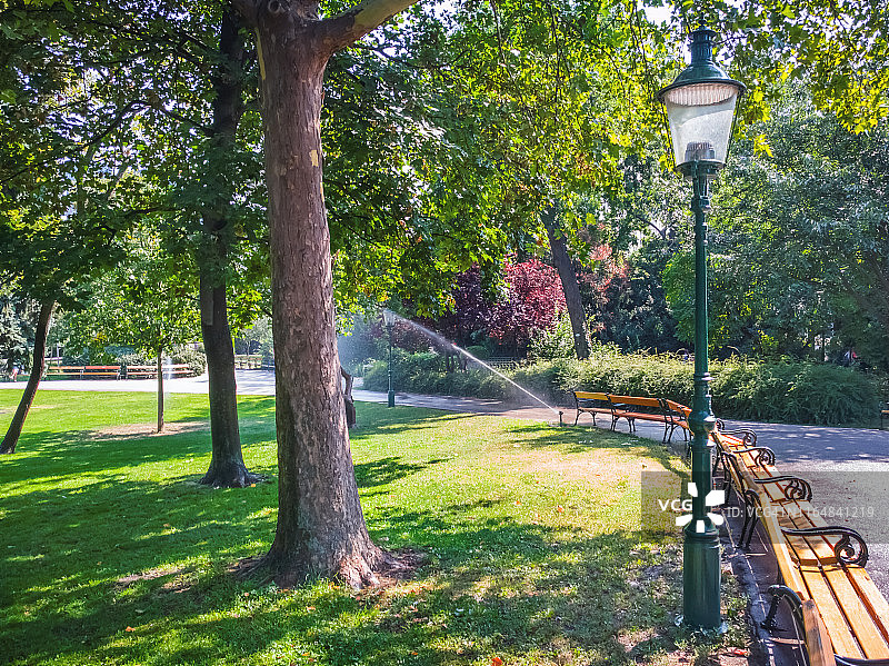 在维也纳城市公园夏季高温中浇灌草坪和鲜花图片素材