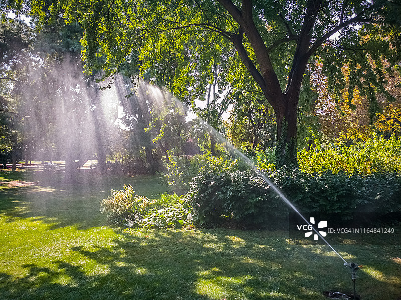 在维也纳城市公园夏季高温中浇灌草坪和鲜花图片素材