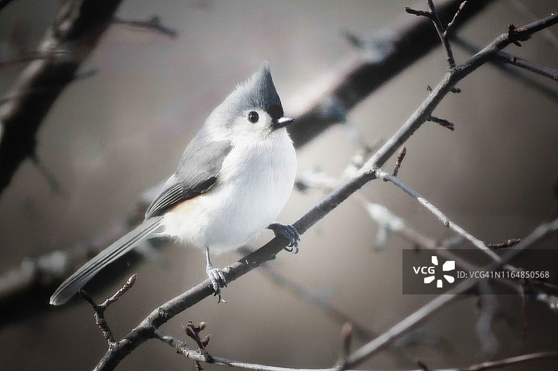 春季空中通勤图片素材