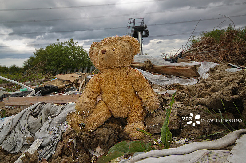 泰迪熊与污染物图片素材