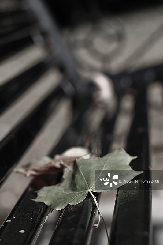 肖伯里内斯公园图片素材