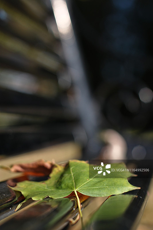 英格兰的秋天图片素材