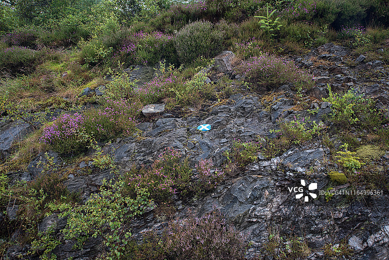 “Yes”石头 2图片素材