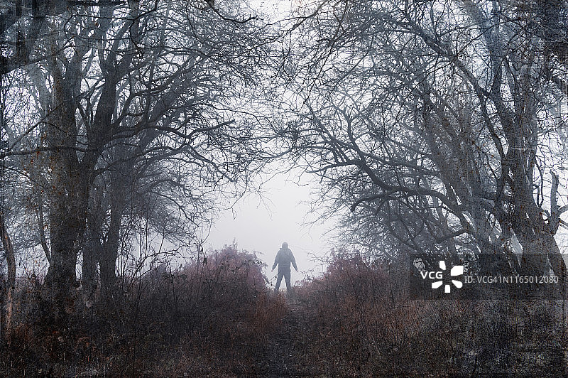 冬季雾林中伸出双臂的幽灵剪影图片素材