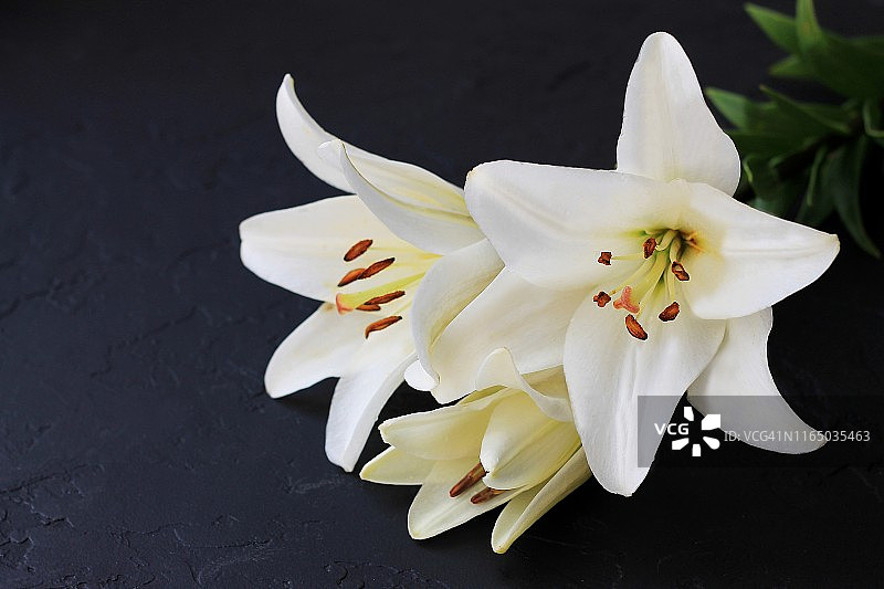 黑色背景上的白色百合花束图片素材