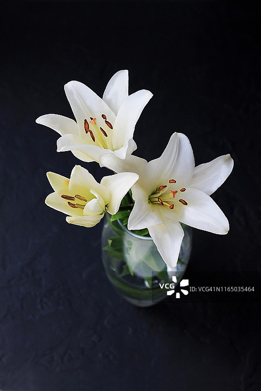 黑色背景上的白色百合花束图片素材