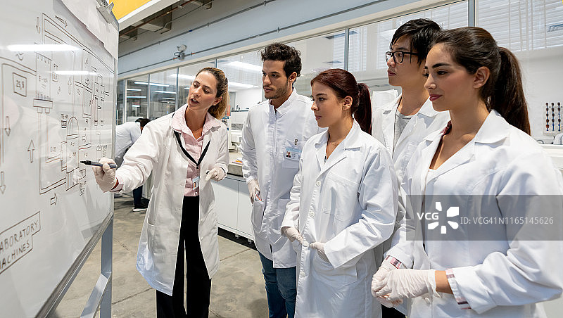 女教师在实验室白板上讲解流程，学生们认真听讲图片素材